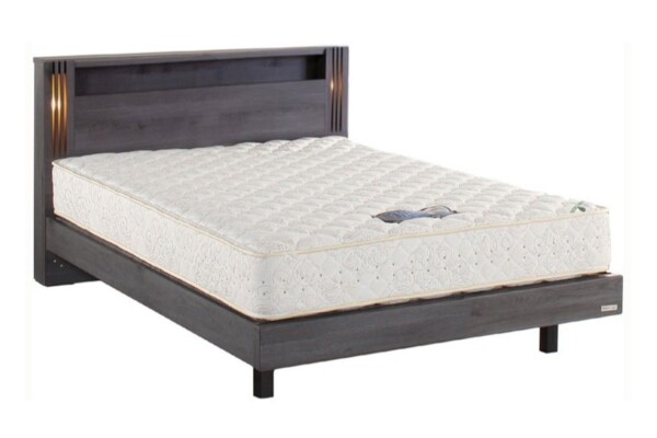 PLAiSIR2146